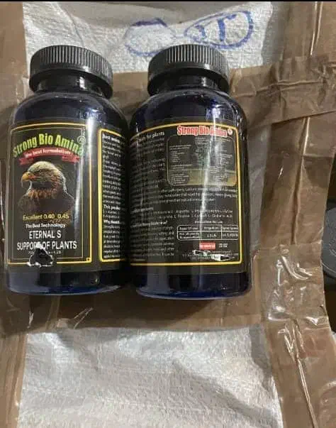 راهنمایی میخوام|فعالیت داوطلبانه|مشهد, الهیه|دیوار