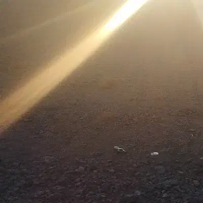 راننده لیفتراک|خدمات حمل و نقل|دلیجان, |دیوار