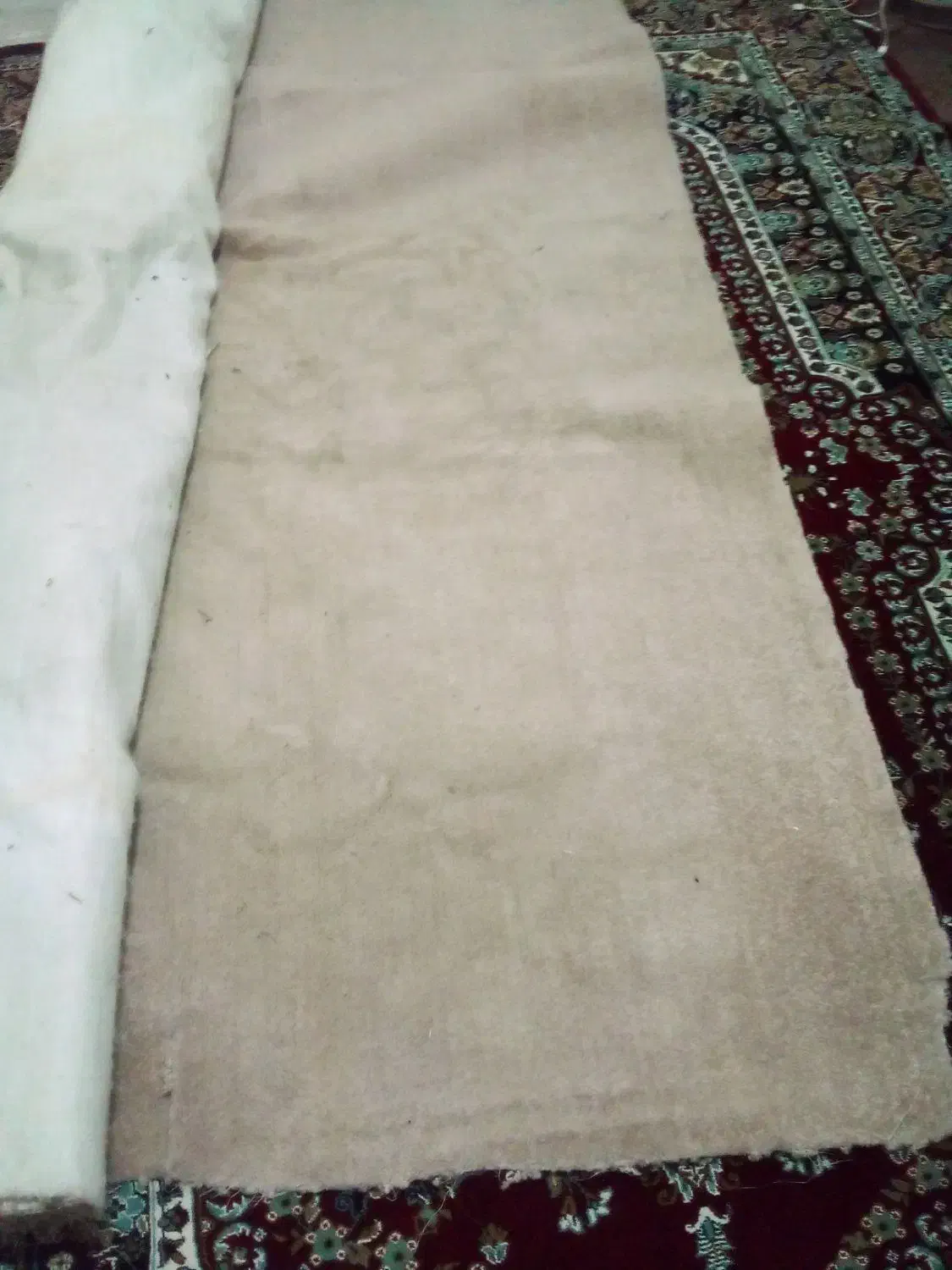 موکت پارامونت درحده نو خیلی کم استفاده  شوده|موکت|ری, سیزده آبان|دیوار