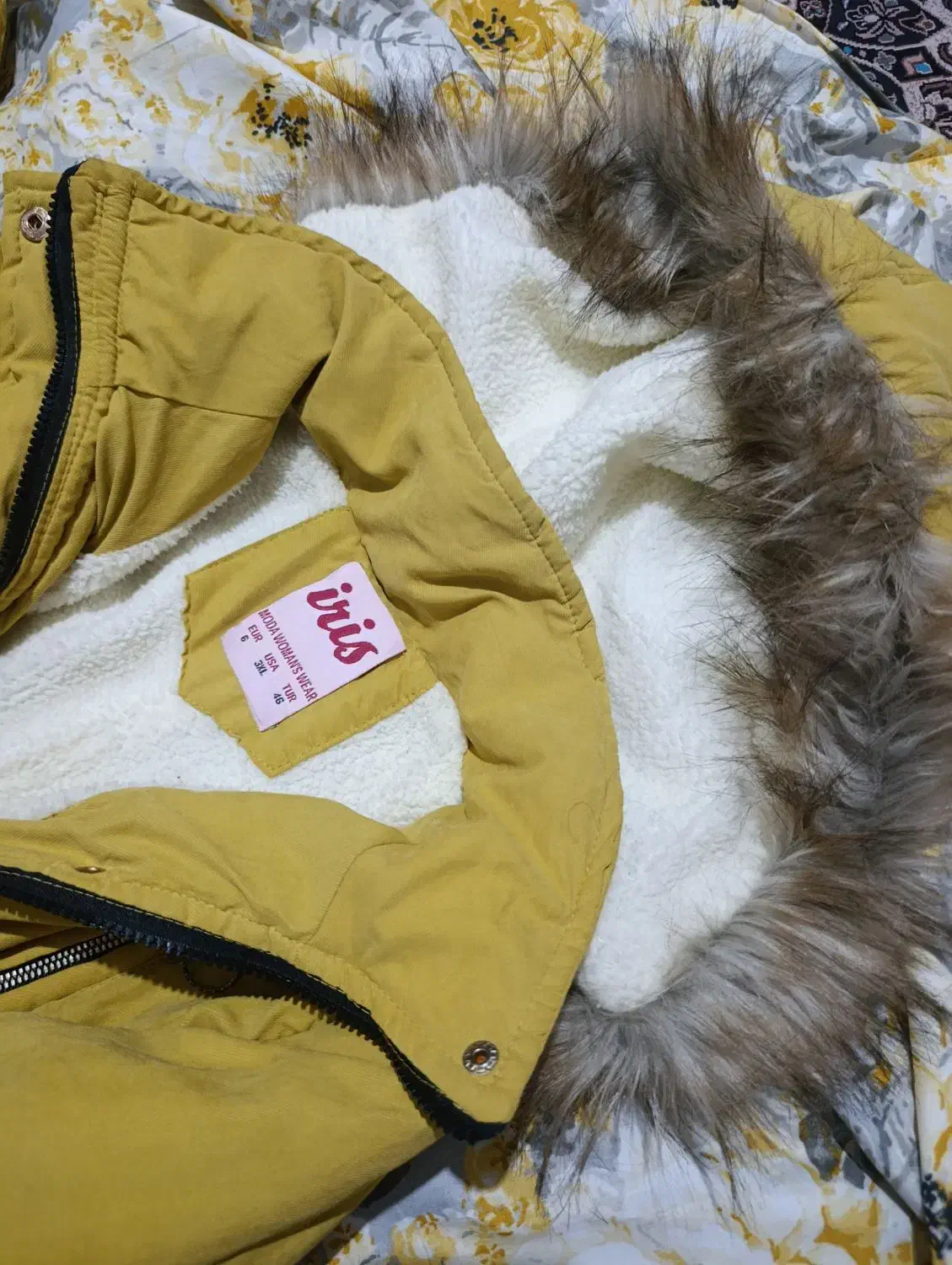 کت نو نو هستش|لباس|یاسوج, |دیوار