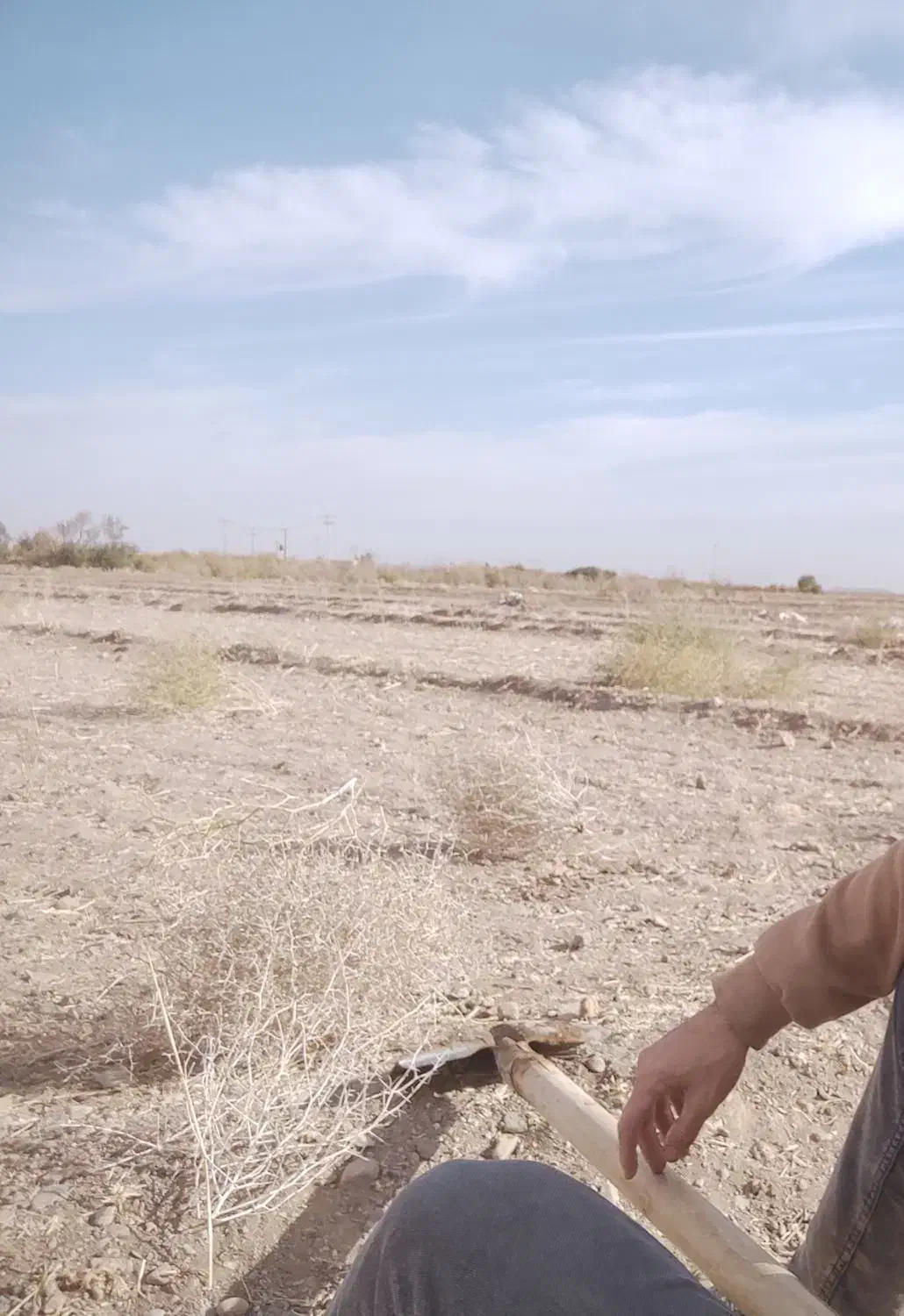 خانه|فروش دفتر صنعتی، کشاورزی، تجاری|تربت‌حیدریه, پائین ولایت|دیوار