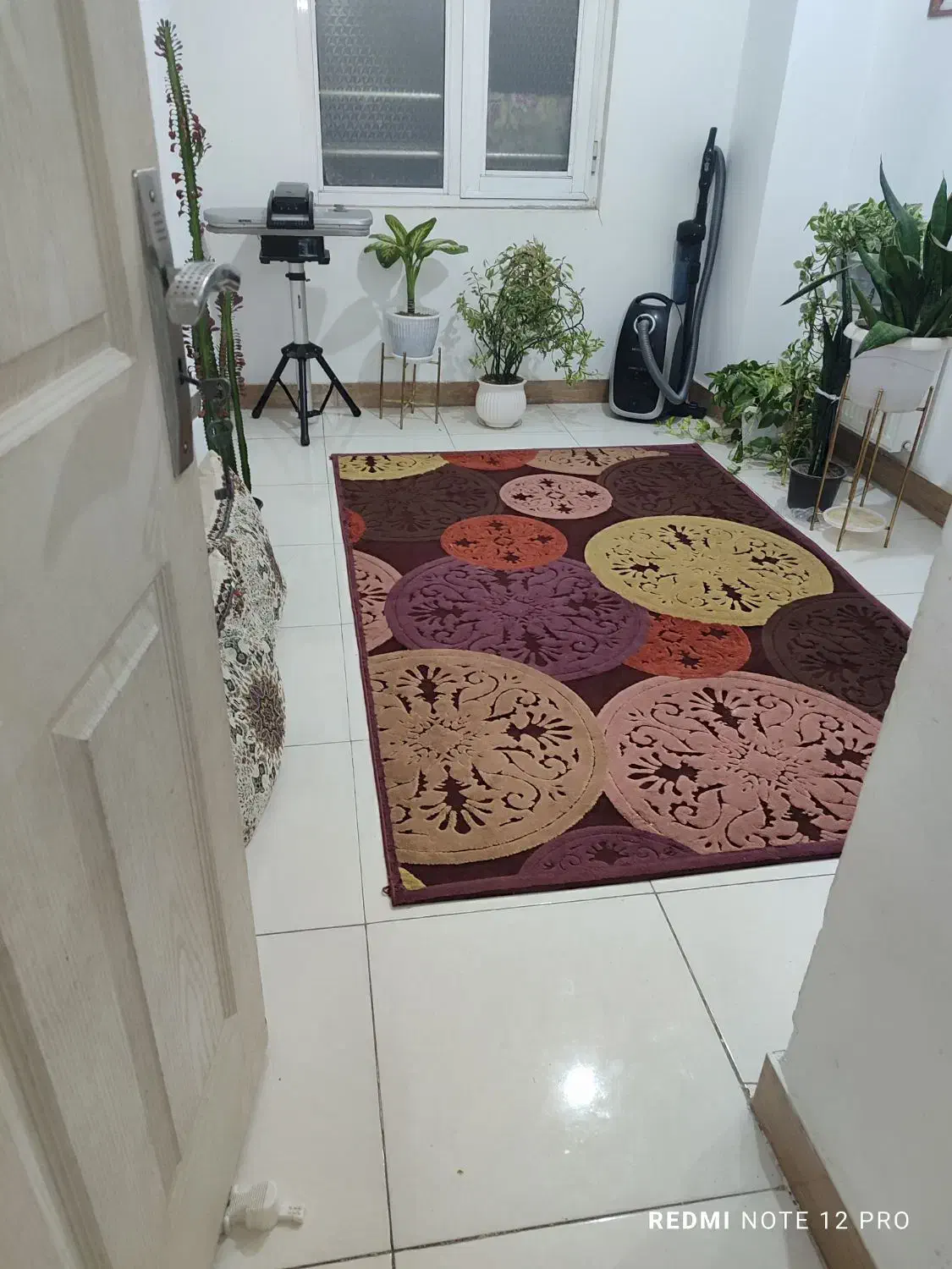 فرش اتاق خواب تمیز|فرش|ورامین, ورامین|دیوار