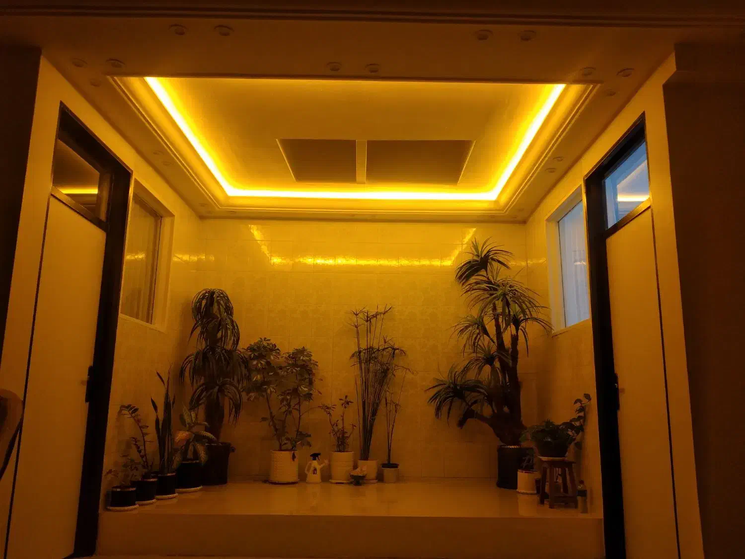 گچکاری ولکه گیری|خدمات پیشه و مهارت|صدرا-فارس, فاز ۱|دیوار