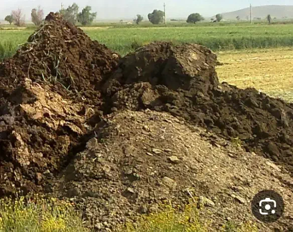 کود حیوانی ( گوسفندی و گاوی)|خدمات باغبانی و درختکاری|مرزنآباد, |دیوار