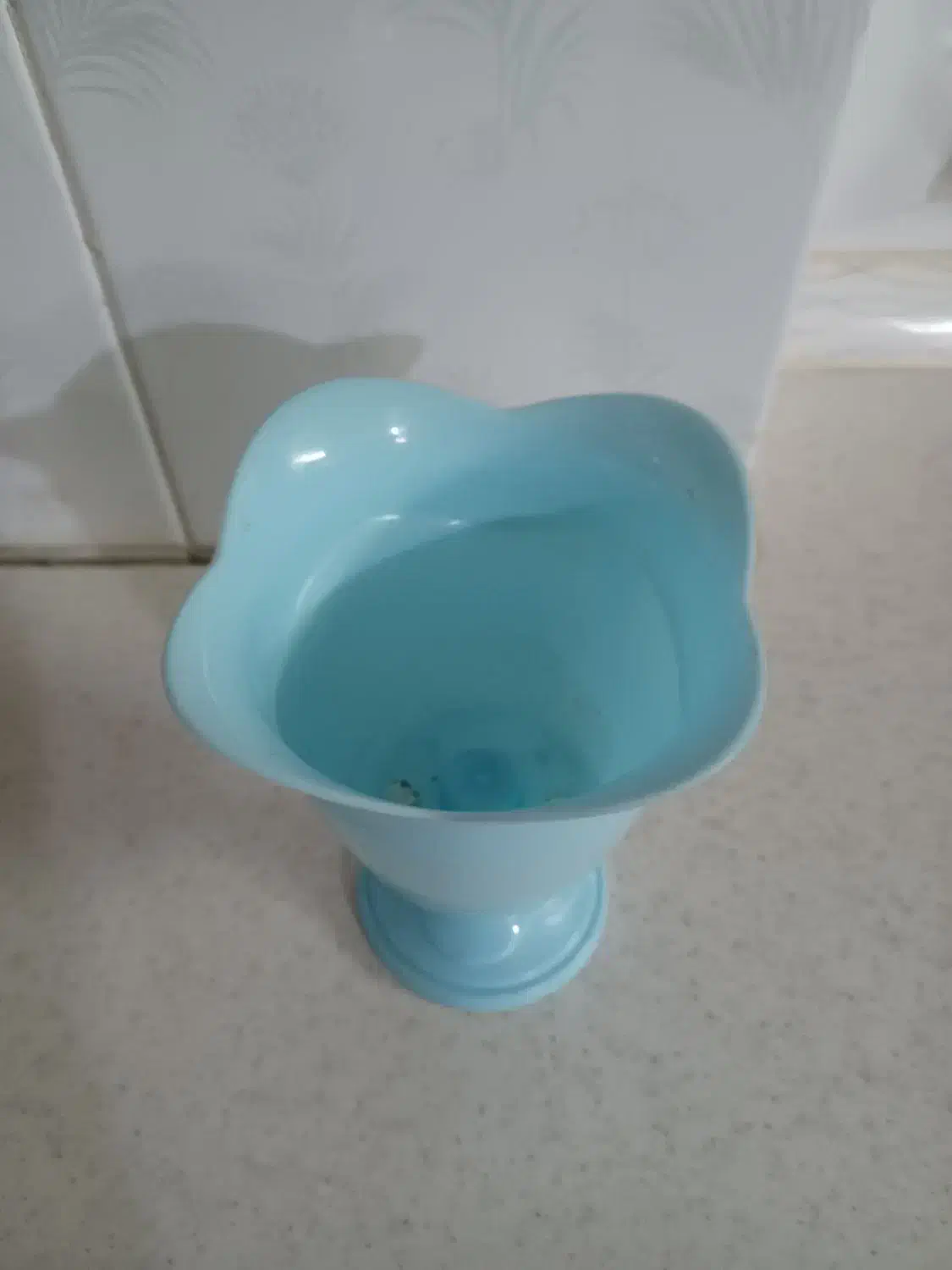 گلدان پلاستیکی|گل و گیاه طبیعی|اصفهان, طاحونه|دیوار