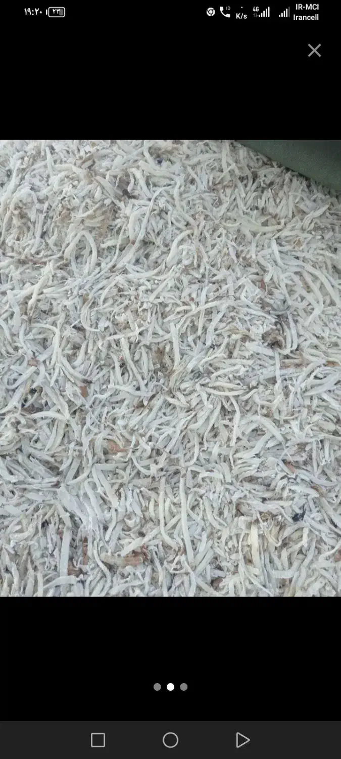 کاه گندم تفاله چغندر تازه بیده پرس... کاه لوبیا|عمده‌فروشی|پاریز, |دیوار