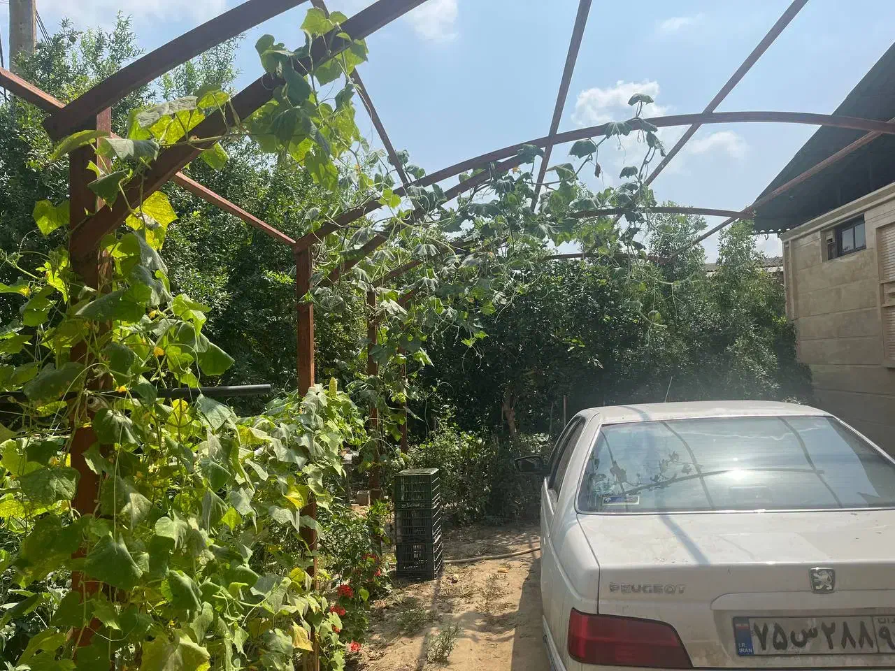 خانه باغ ویلایی با درختان متنوع|فروش خانه و ویلا|کیاکلا, |دیوار