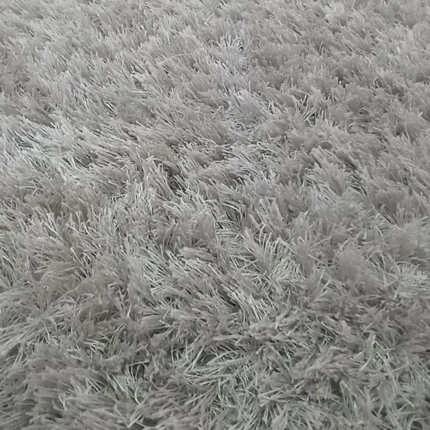 قالیچه گرد|فرش|مشهد, جاهد شهر|دیوار