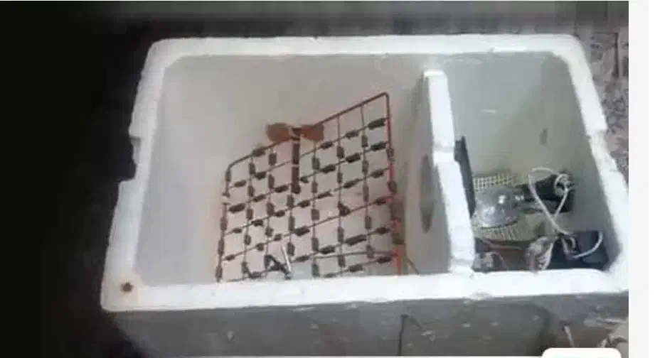 دستگاه جوجه کشی دست ساز خانگی|لوازم جانبی حیوانات|سنندج, |دیوار