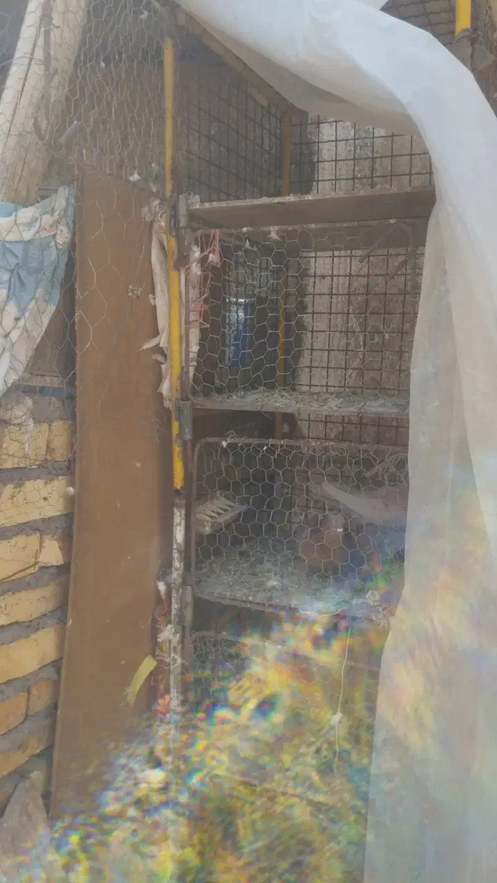 جفت کن آهنی|لوازم جانبی حیوانات|اردکان, |دیوار