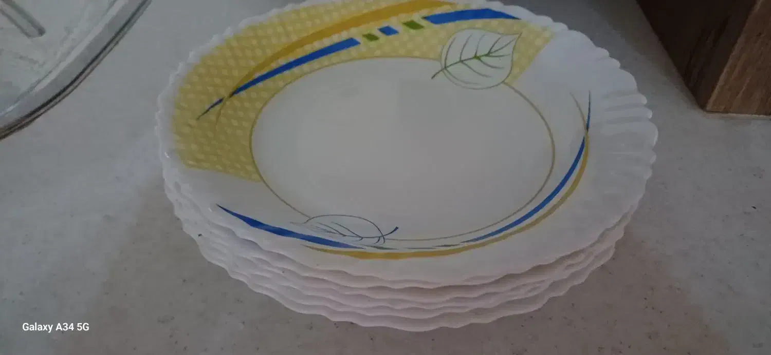 بشقاب آرکوپال یک دست|ظروف سرو و پذیرایی|ساری, |دیوار