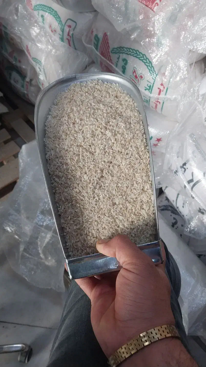 برنج سرلاشه فوق معطر تعداد محدود|خوردنی و آشامیدنی|یزد, |دیوار