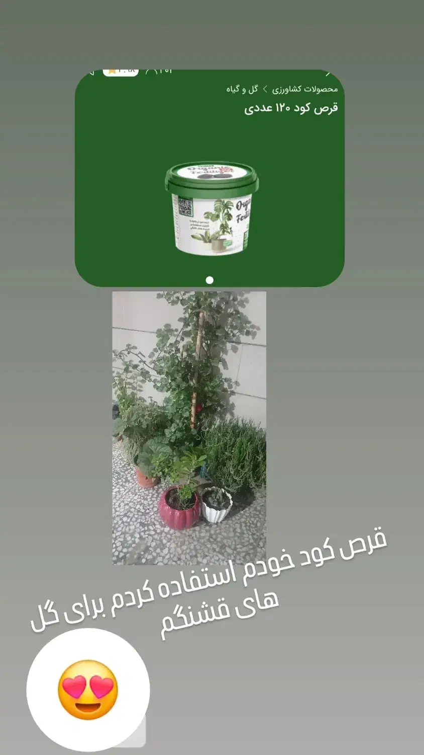 قرص کود گلدانی|گل و گیاه طبیعی|مینودشت, |دیوار