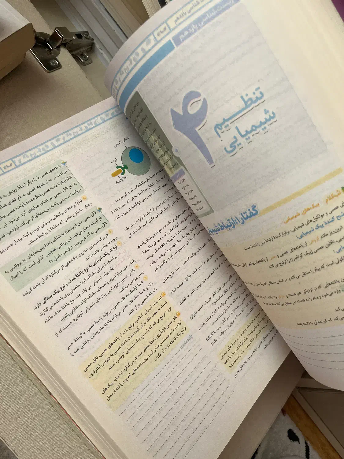 کتاب کنکور زیست شناسه جامع IQ|کتاب و مجله آموزشی|تهران, باغ فیض|دیوار