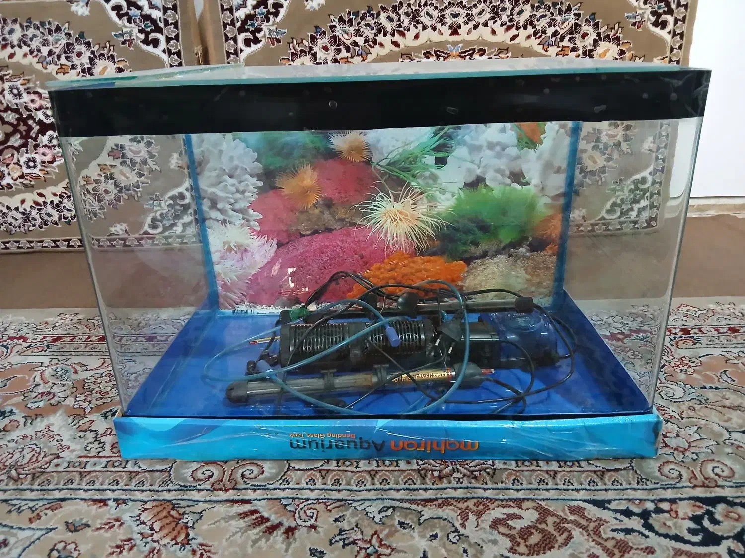 آکواریوم با لوازم|ماهی|صباشهر, |دیوار