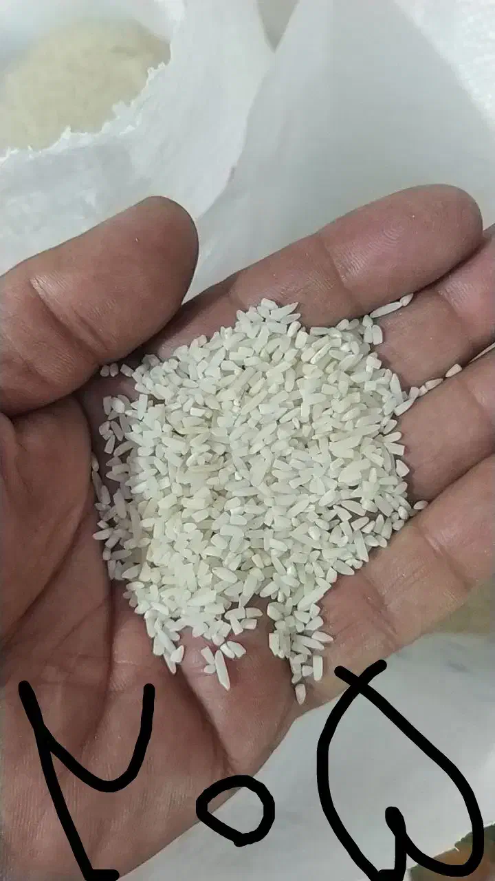 برنج نیم دانه هاشمی|خوردنی و آشامیدنی|الوند, |دیوار