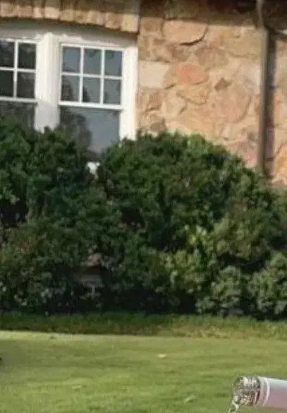 نظافت منزل درخدمتم|خدمات نظافت|بم, |دیوار