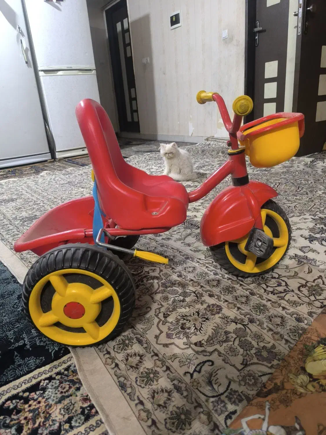 دوچرخه|دوچرخه، اسکیت، اسکوتر|بیرجند, |دیوار