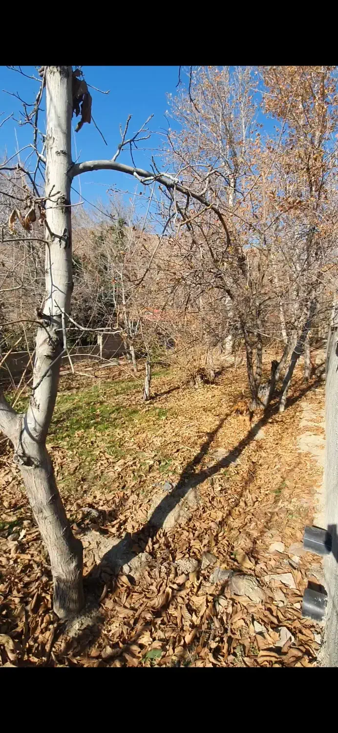 زمین ۱۱۰۰ متری در هلجرد|فروش زمین و ملک کلنگی|کرج, هلجرد|دیوار