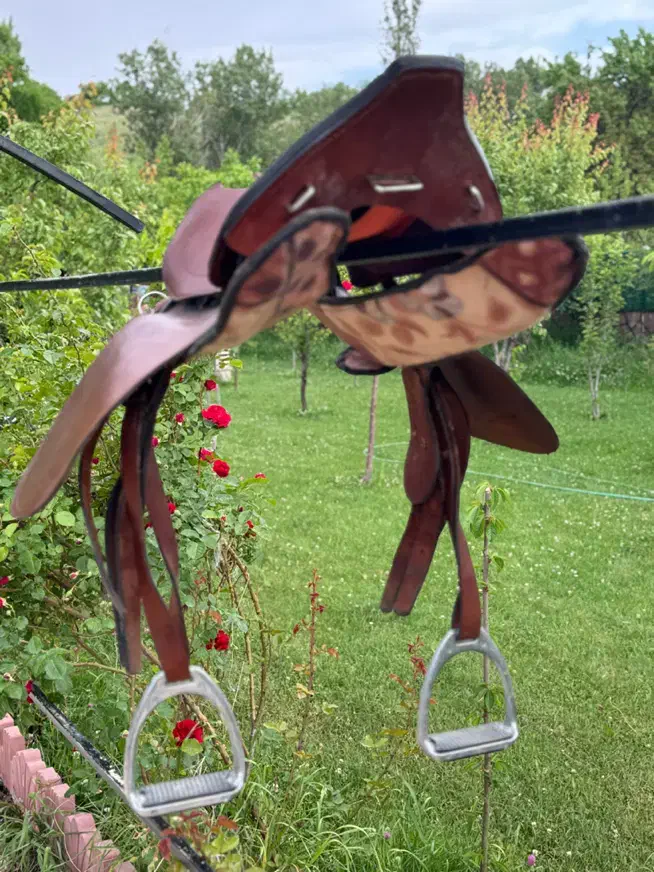 زین اسب|اسب و تجهیزات اسب‌سواری|تبریز, |دیوار