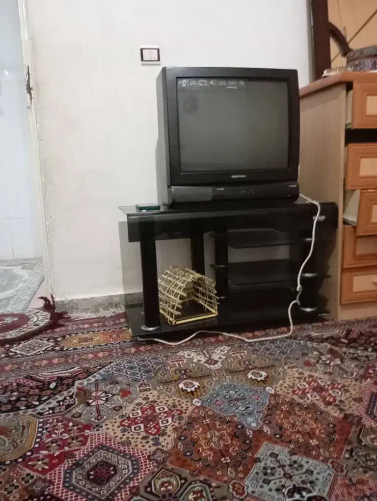 تلویزیون با میزش|میز تلویزیون|یاسوج, |دیوار