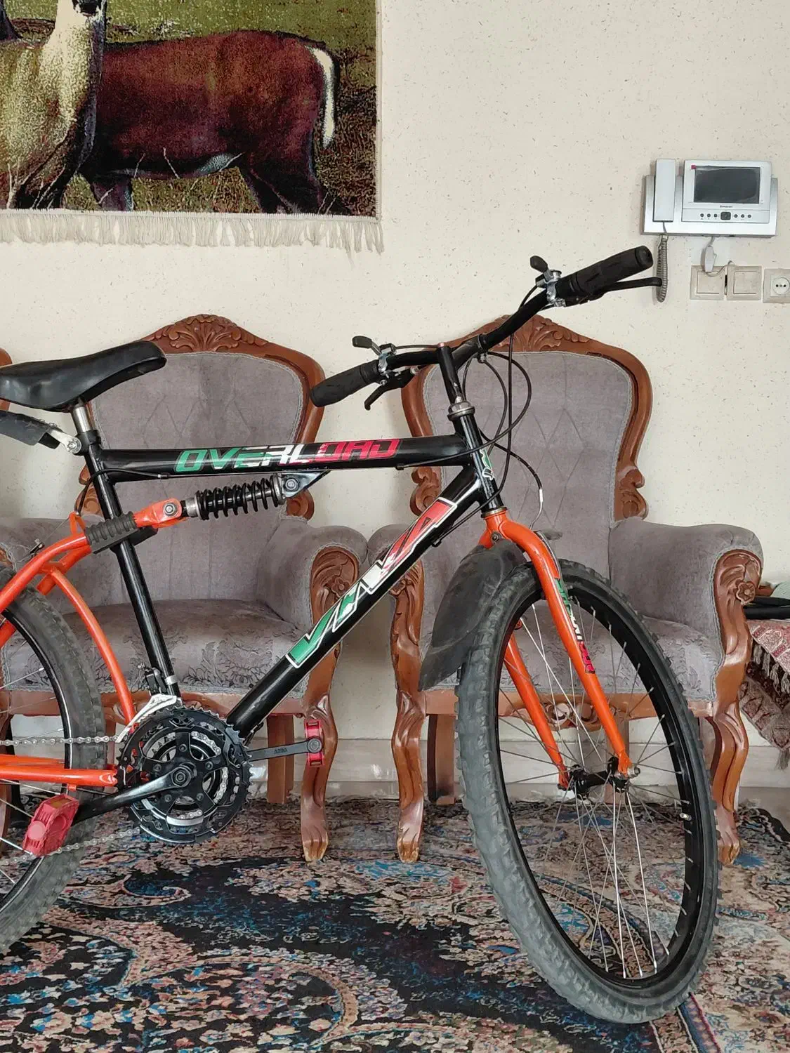 دوچرخه|دوچرخه، اسکیت، اسکوتر|گلبهار, شهر جدید گلبهار|دیوار