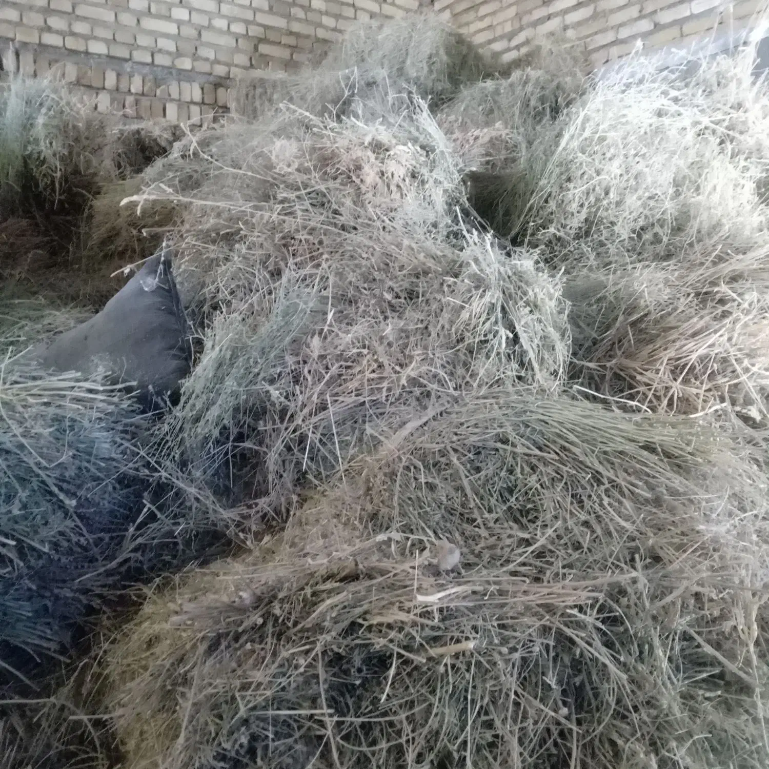 فروش پرس و باغ|حیوانات مزرعه|قیدار, |دیوار