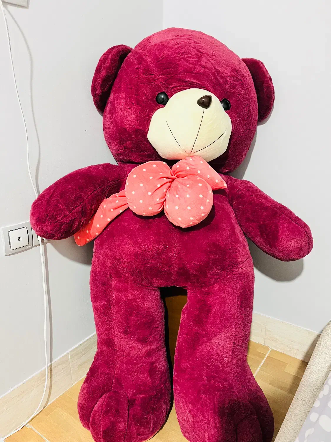 خرس بزرگ|اسباب‌بازی بچه|شاهرود, |دیوار