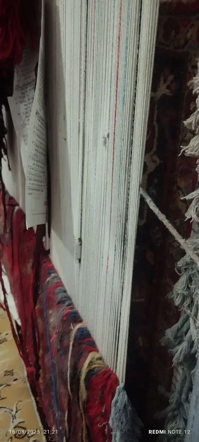 فرش هریس تاجری|فرش|مشگین شهر, |دیوار