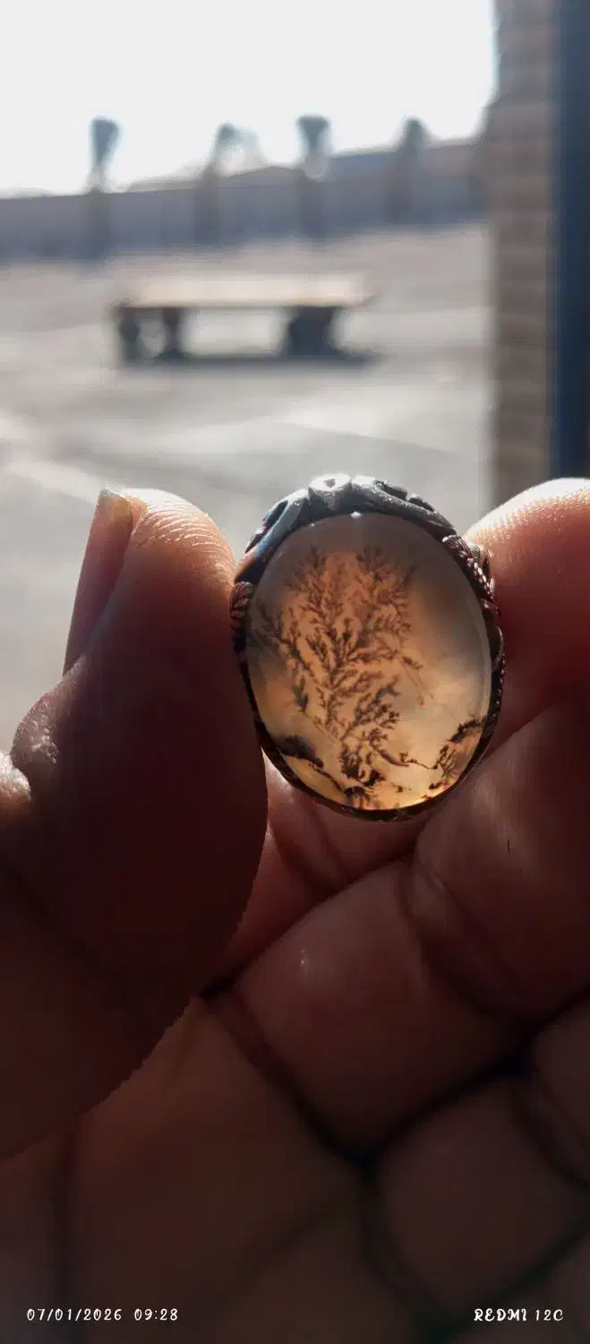 شجر|جواهرات|بم, |دیوار