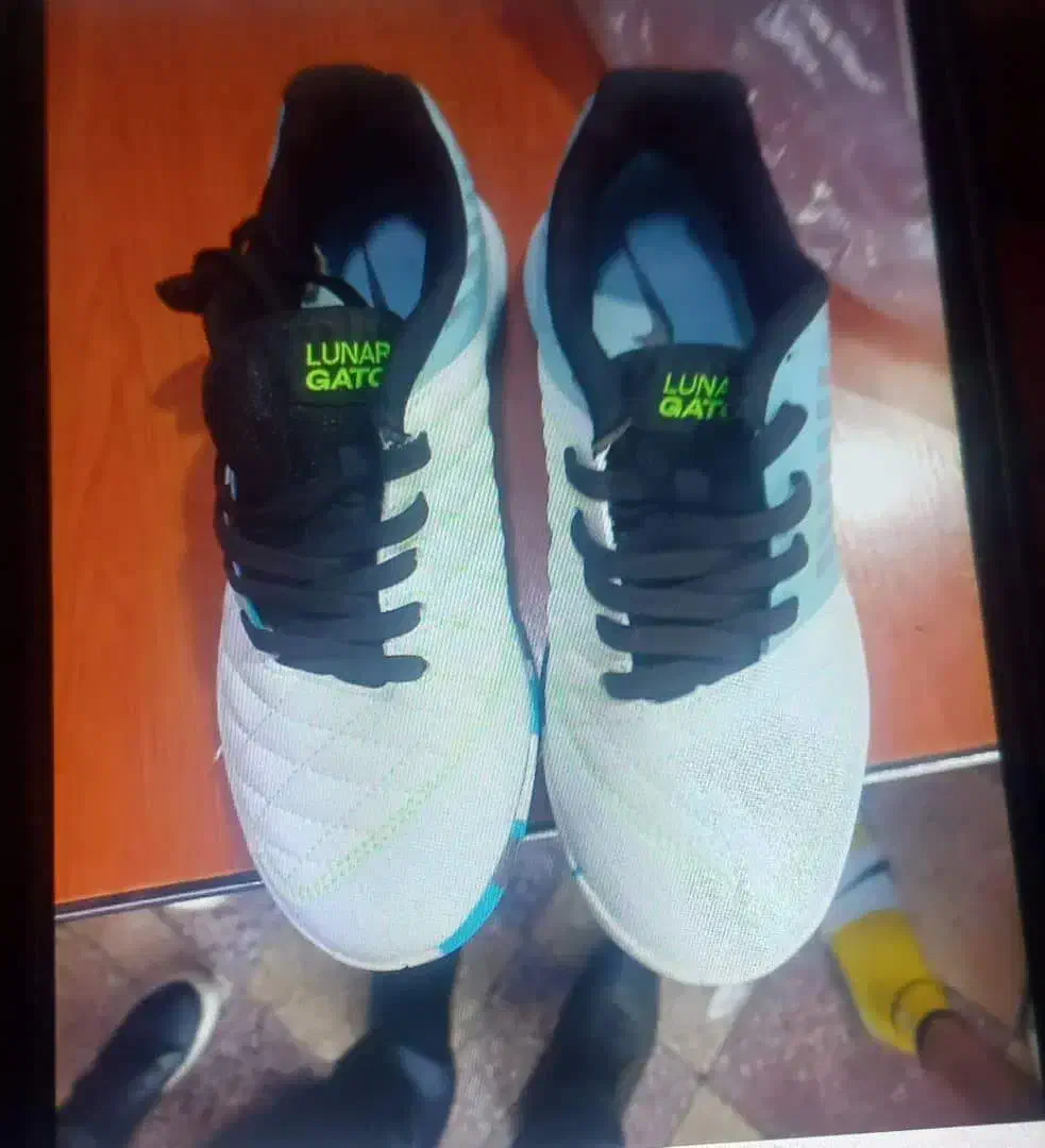 کفش سالنی|کیف، کفش، کمربند|دهلران, |دیوار