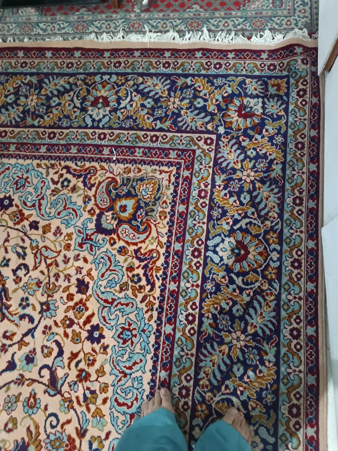 فرش|فرش|بهارستان, |دیوار