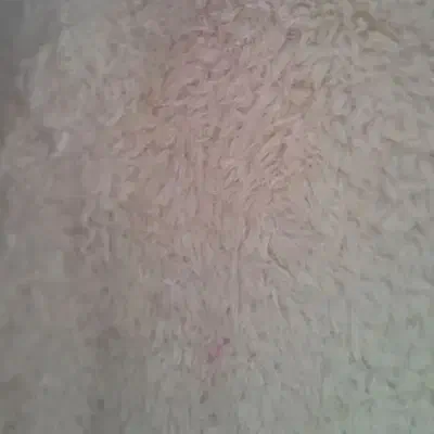 هنوز هواسرد نشده بخر ک گرون نشع نو نو|لباس|نیشابور, ابراهیمی|دیوار