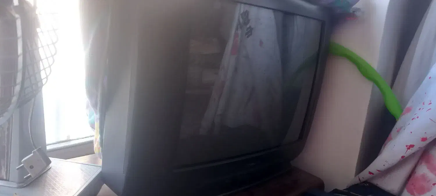 تلویزیون|تلویزیون و پروژکتور|کرمان, |دیوار