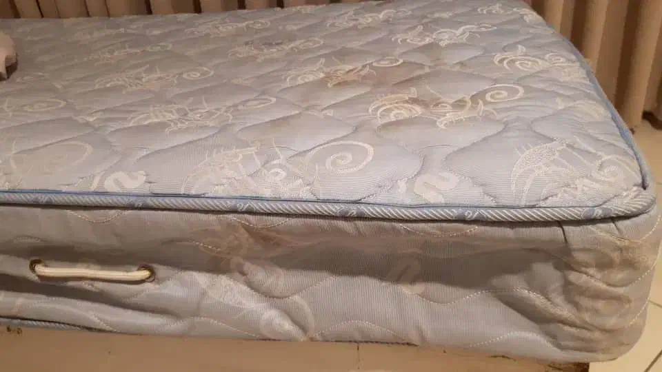 تشک یک نفره رویا|تشک تختخواب|تهران, امانیه|دیوار