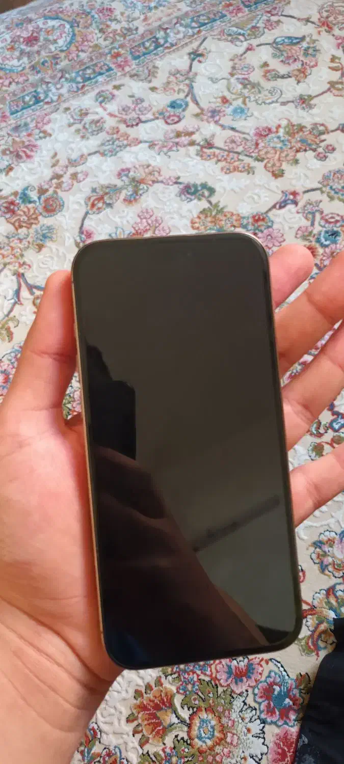 ایفون ۱۶ پرومکس|موبایل|کرج, کوی کارمندان جنوبی|دیوار