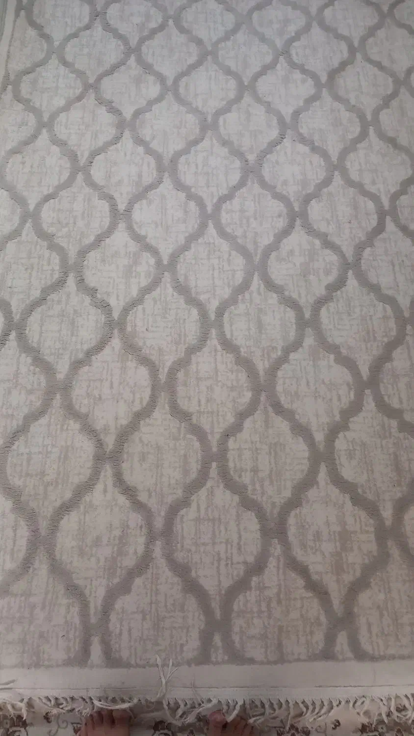 فرش آشپزخانه  ۴ متری|فرش|کرمانشاه, |دیوار