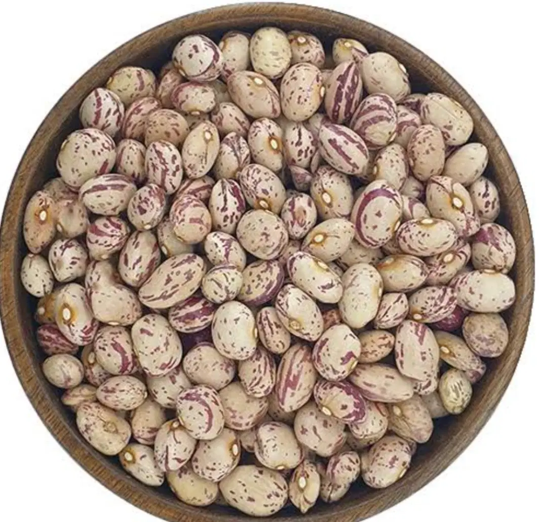 لوبیا|خوردنی و آشامیدنی|سلطانیه, |دیوار