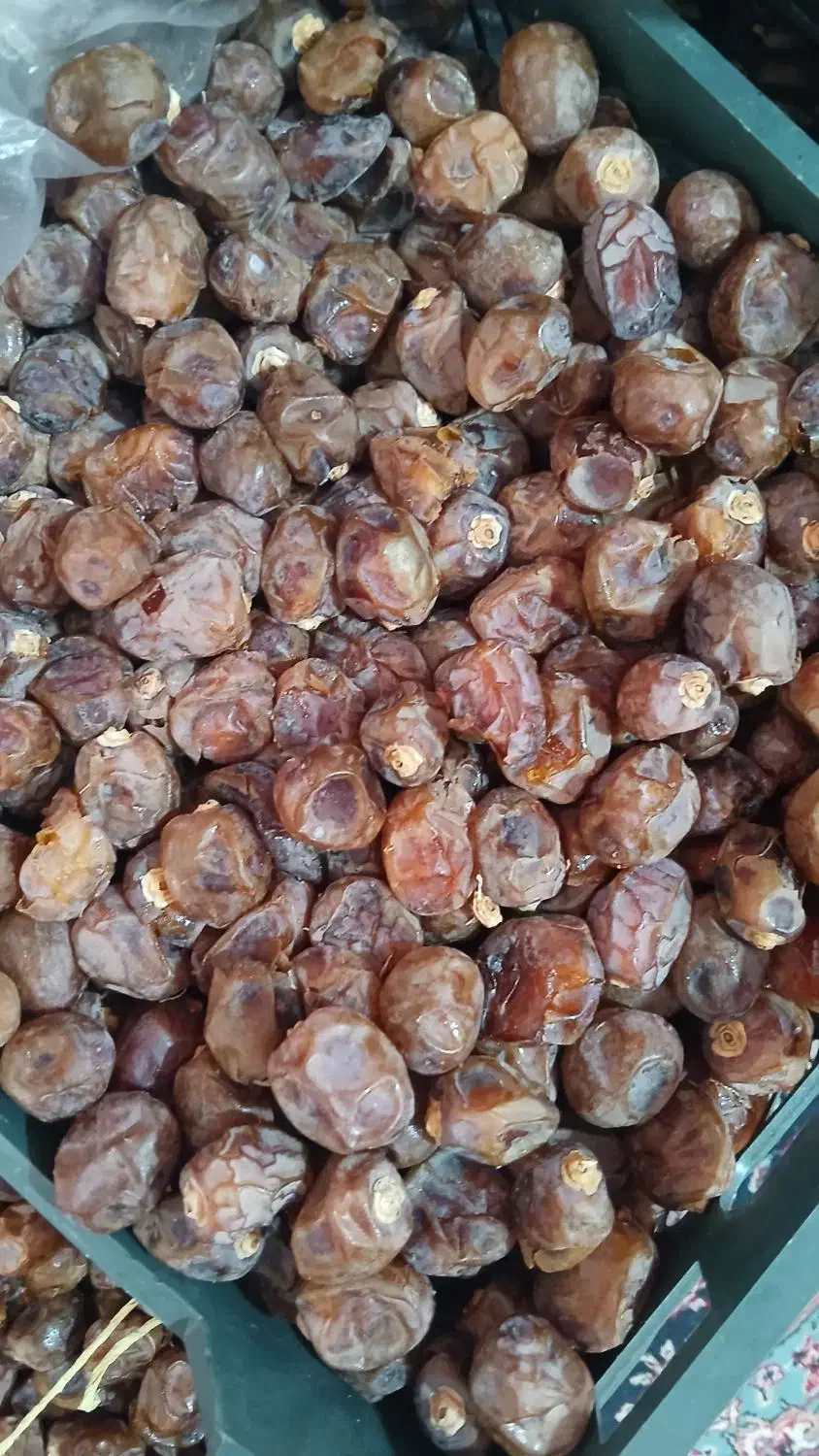 خرما برحی|خوردنی و آشامیدنی|اهواز, اسماعیلیه|دیوار