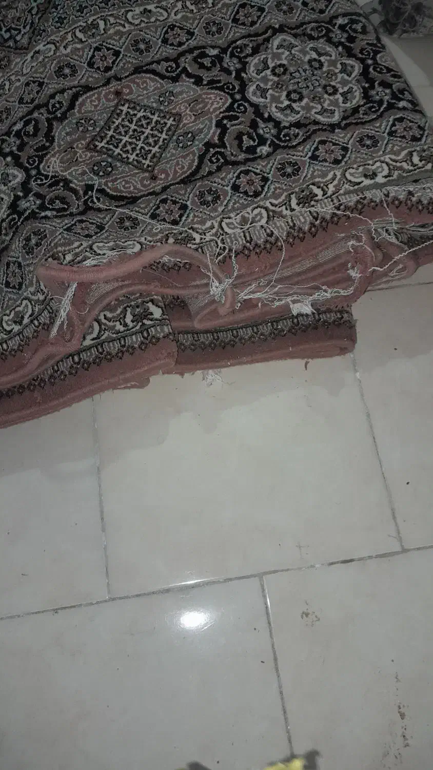 فرش قفس پایه آهنی|فرش|گلبهار, شهر جدید گلبهار|دیوار