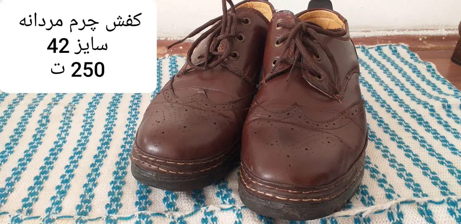 کفش چرم مردانه و زنانه|کیف، کفش، کمربند|پرند, فاز ۵|دیوار