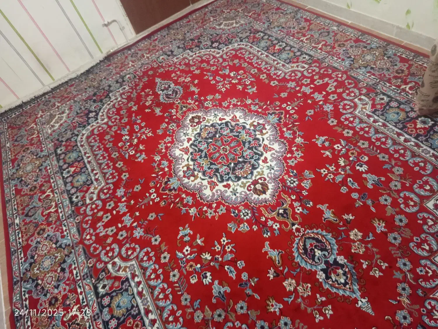 فرش|فرش|دامغان, |دیوار