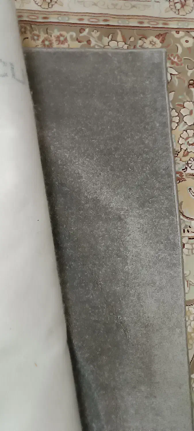 پالاز موکت|موکت|تکاب, |دیوار