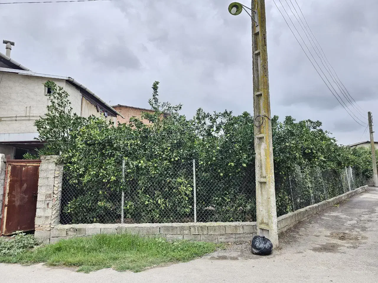 زمین مسکونی ۲۰۰ متری|فروش زمین و ملک کلنگی|ارطه, |دیوار