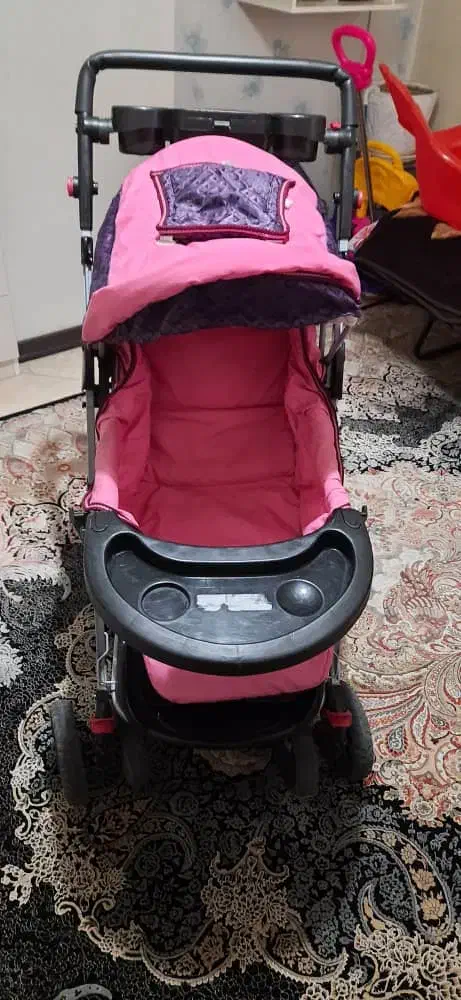 کالسکه دلیجان و روروئک|کالسکه و لوازم جانبی|کرج, باغستان|دیوار