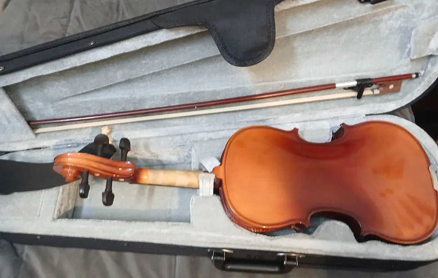 ویولن Student TF|ویولن|تهران, بوستان سرخه حصار|دیوار