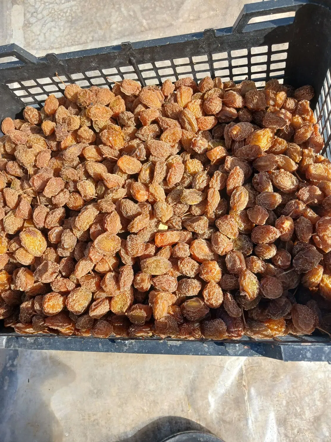 آلو بخارا آفتاب خشک بروجرد|خوردنی و آشامیدنی|تهران, امام زاده عبدالله|دیوار