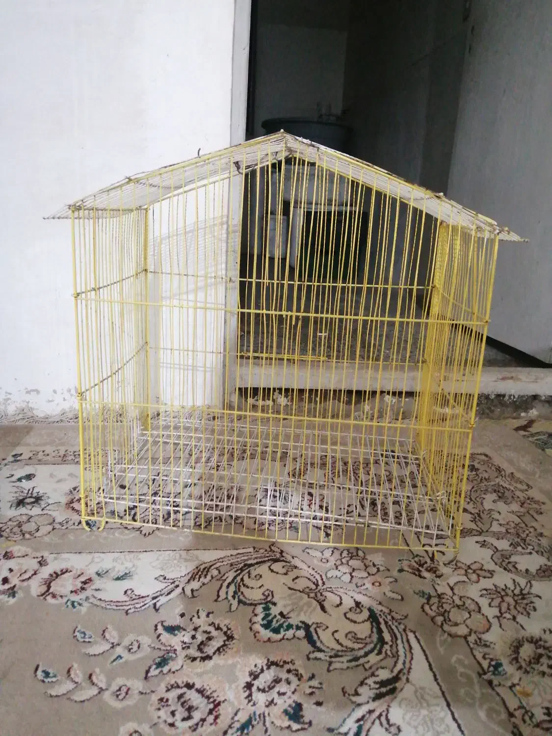 قفس طوطی|لوازم جانبی حیوانات|گرگان, |دیوار