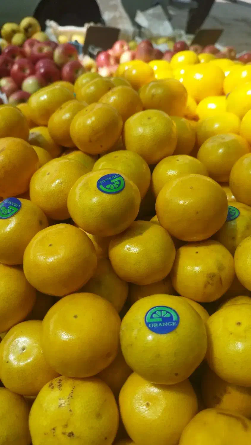 میوه خوب کسی خواست در خدمتم|فعالیت داوطلبانه تحقیقاتی|مشهد, قائم|دیوار