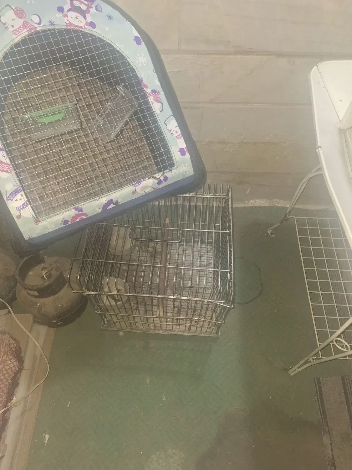 قفس سلطنتی کاسکو به همراه قفس مسافرتی|لوازم جانبی حیوانات|قم, چهار مردان|دیوار